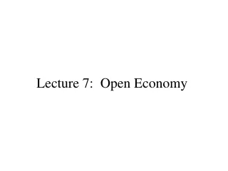 Lecture 7:  Open Economy
