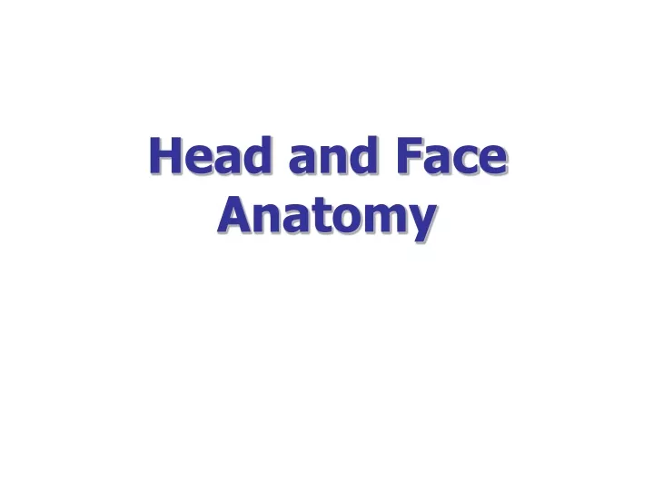 head and face anatomy