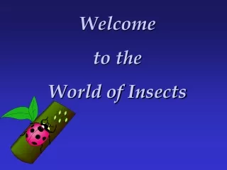 Welcome  to the World of Insects