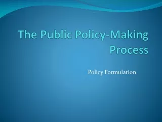 The  Public Policy-Making Process