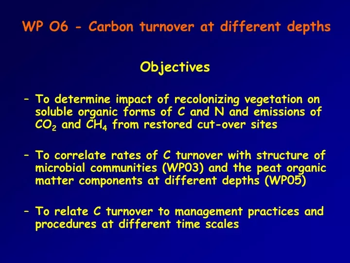 wp o6 carbon turnover at different depths