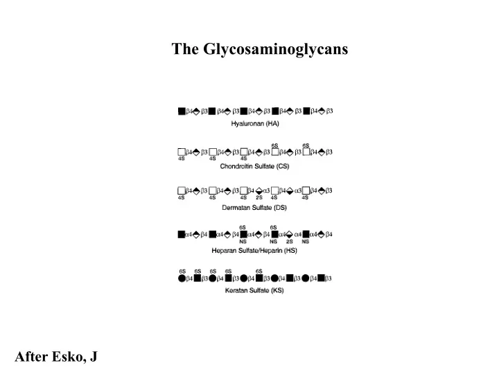 the glycosaminoglycans