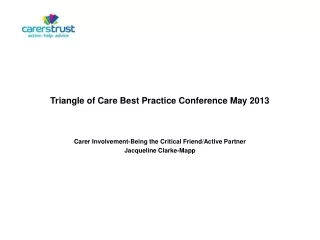 Triangle of Care Best Practice Conference May 2013