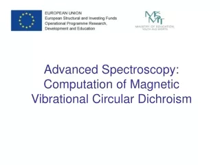 Advanced Spectroscopy: Computation of Magnetic Vibrational Circular Dichroism