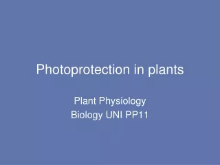 Photoprotection in plants