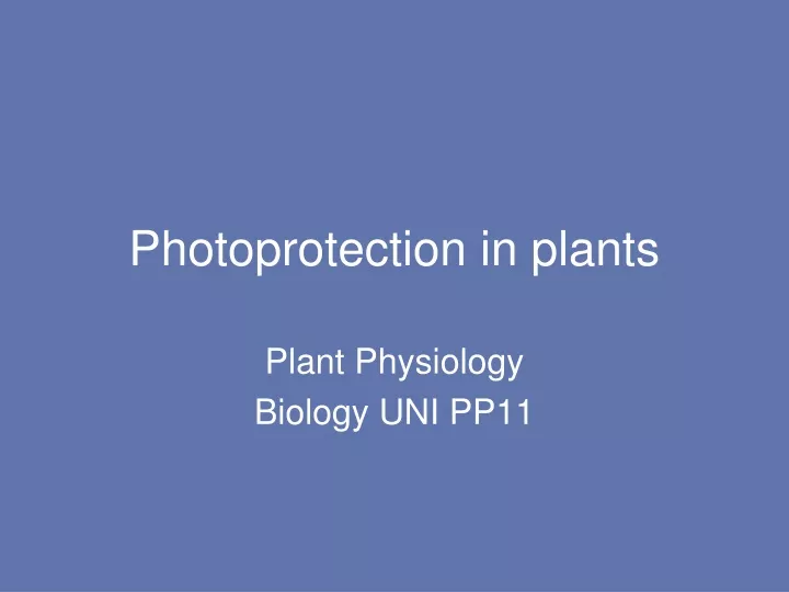 photoprotection in plants