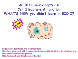 AP BIOLOGY Chapter 6 Cell Structure &amp; Function WHAT’S NEW you didn’t learn in BIO I?