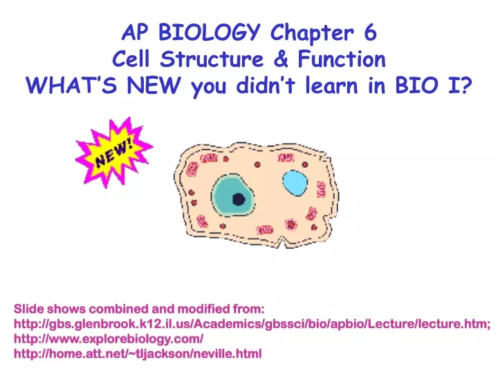 ap biology chapter 6 cell structure function what