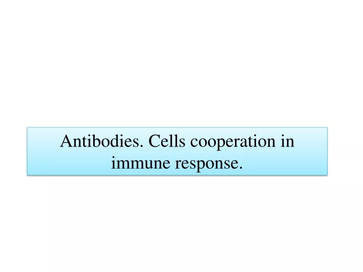 antibodies cells cooperation in immune response