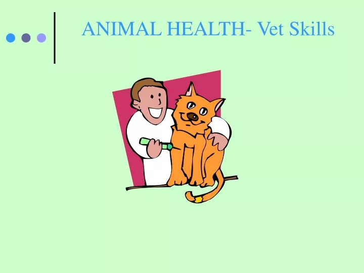 animal health vet skills