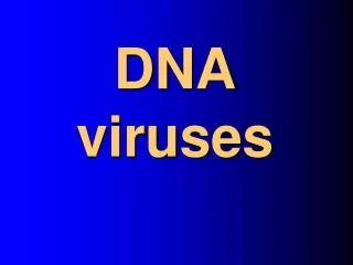DNA  viruses