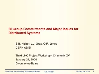BI Group Commitments and Major Issues for Distributed Systems