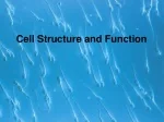 Exploring Cell Structure and Function: A Comprehensive Overview - slide 1
