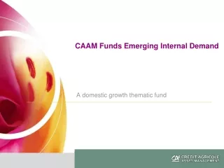 CAAM Funds Emerging Internal Demand  A domestic growth thematic fund