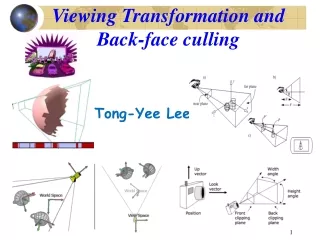 Viewing Transformation and Back-face culling