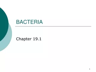 BACTERIA