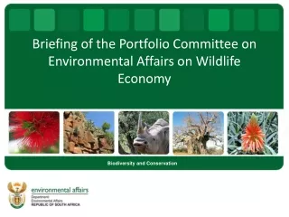 Briefing of the Portfolio Committee on Environmental Affairs  on Wildlife Economy