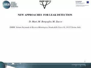 New approaches  for leak detection