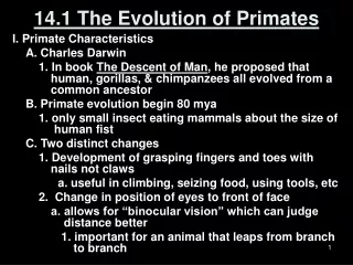 14.1 The Evolution of Primates
