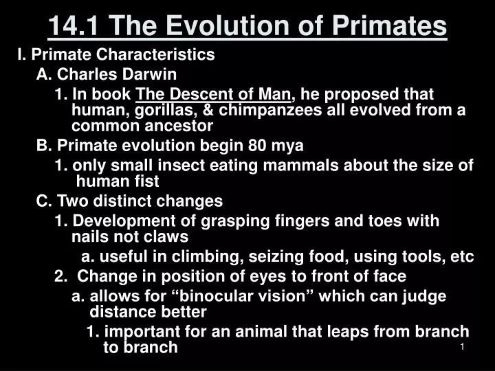 14 1 the evolution of primates