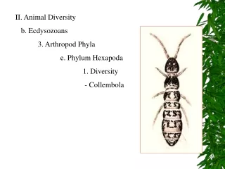 II. Animal Diversity    b. Ecdysozoans 	3. Arthropod Phyla 		e. Phylum Hexapoda 			1. Diversity