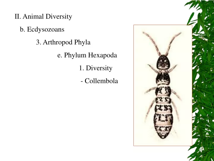 ii animal diversity b ecdysozoans 3 arthropod