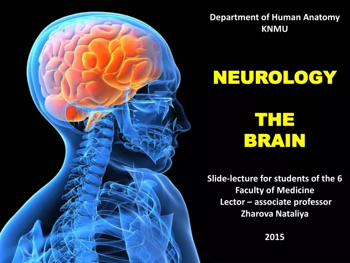 department of human anatomy knmu neurology