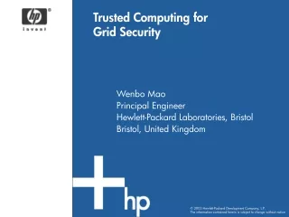 Trusted Computing for Grid Security