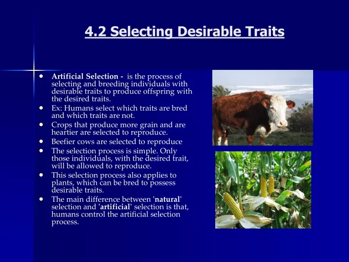 4 2 selecting desirable traits