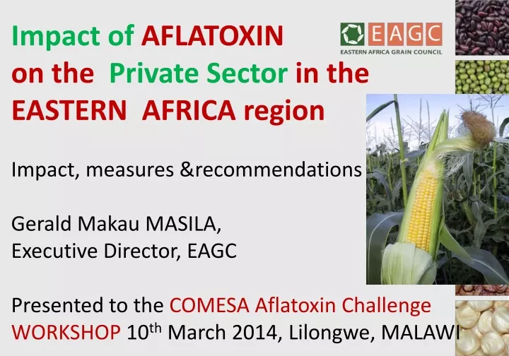 impact of aflatoxin on the private sector