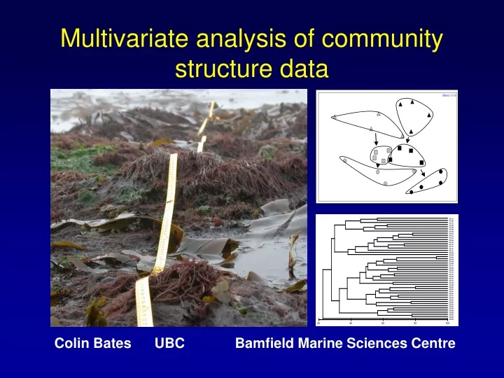 multivariate analysis of community structure data