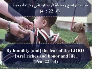 ثواب التواضع ومخافة الرب هو غنى وكرامة وحياة  (ام  22 :  4)
