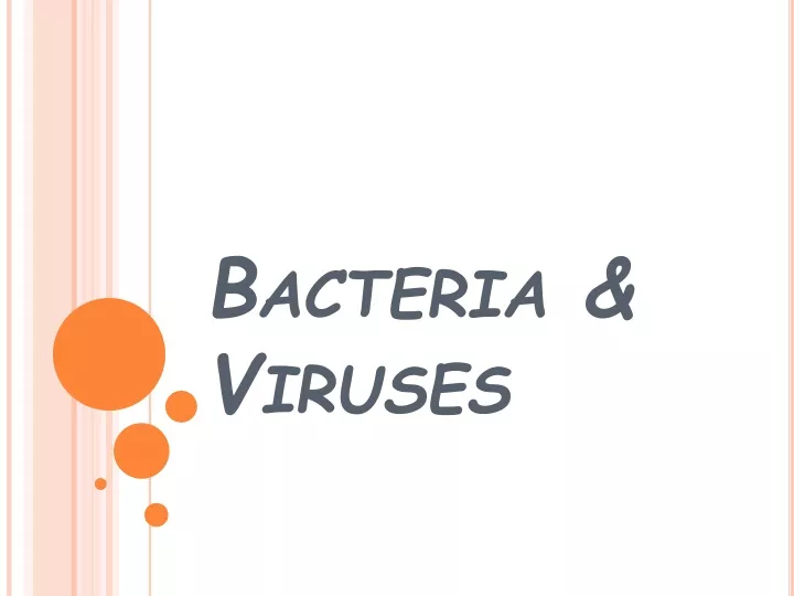 bacteria viruses