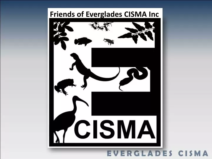 friends of everglades cisma inc