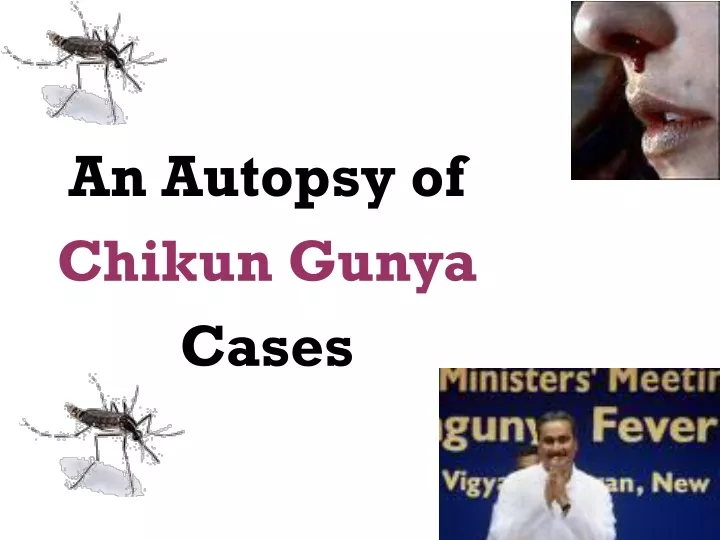 an autopsy of chikun gunya cases