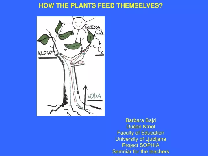 how the plants feed themselves