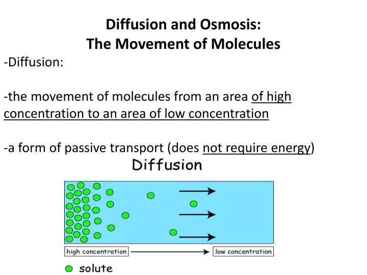 diffusion and osmosis the movement of molecules