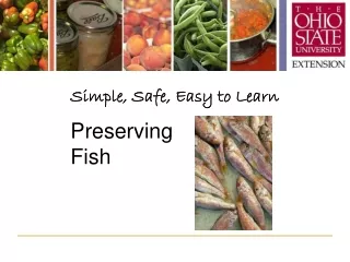 Simple, Safe, Easy to Learn Preserving  Fish