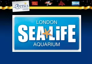 Sea Life London Aquarium Located on South Bank next to the London Eye