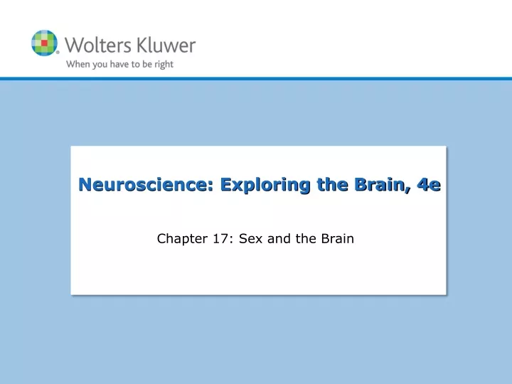 chapter 17 sex and the brain