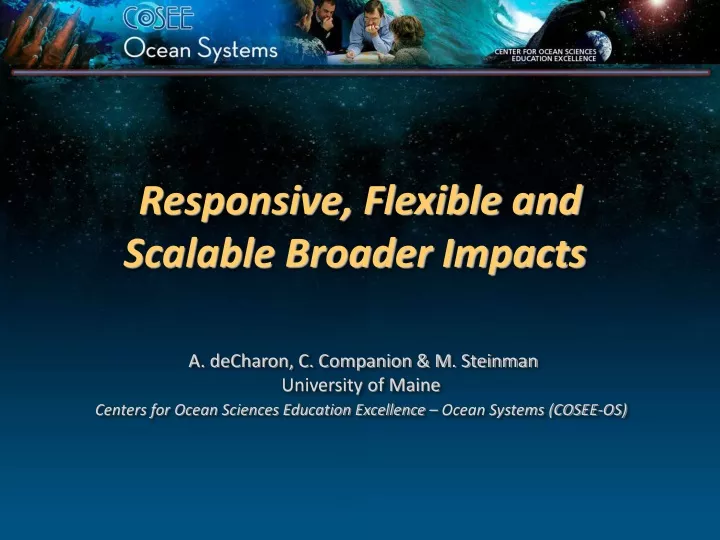 responsive flexible and scalable broader impacts