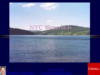 NYC Watersheds