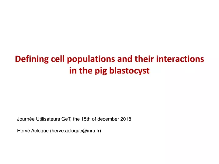 defining cell populations and their interactions in the pig blastocyst