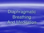 Meditation and Diaphragmatic Breathing Guide - slide 1