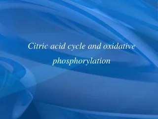 Citric acid cycle and oxidative phosphorylation