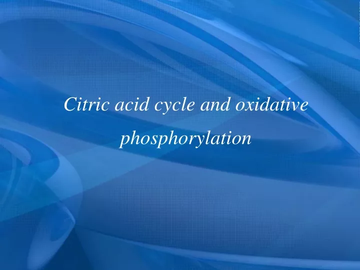 citric acid cycle and oxidative phosphorylation