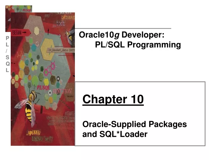 oracle10 g developer pl sql programming
