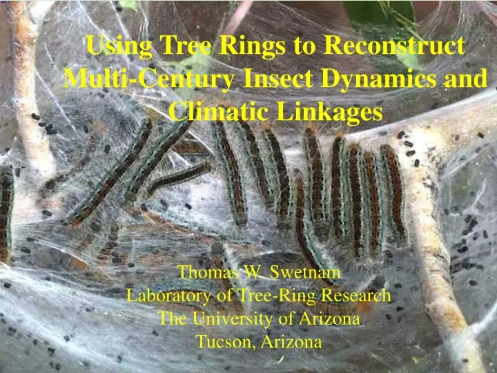 using tree rings to reconstruct multi century