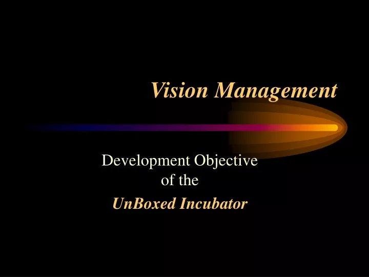 vision management