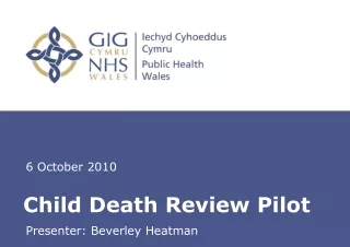 Child Death Review Pilot